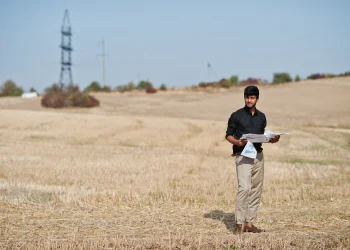 south-asian-agronomist-farmer-threw-papers-into-sky-wheat-field-agriculture-production-concept