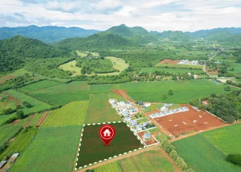 view-land-plot-real-estate-business-development